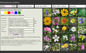 Bild der Homepage